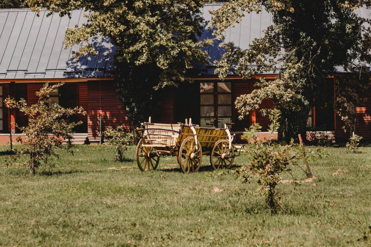 Hôtel Vukovarska Kuca Extérieur photo